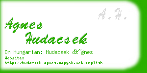 agnes hudacsek business card